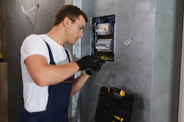 Best Electric Panel Repair  in North Hudson, WI